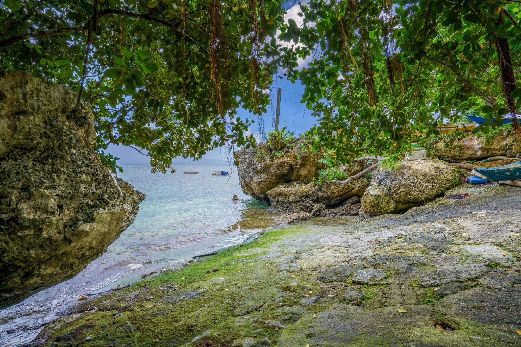 Weyh'S Studio #1 By The Ocean 100Mbps Panglao Eksteriør billede