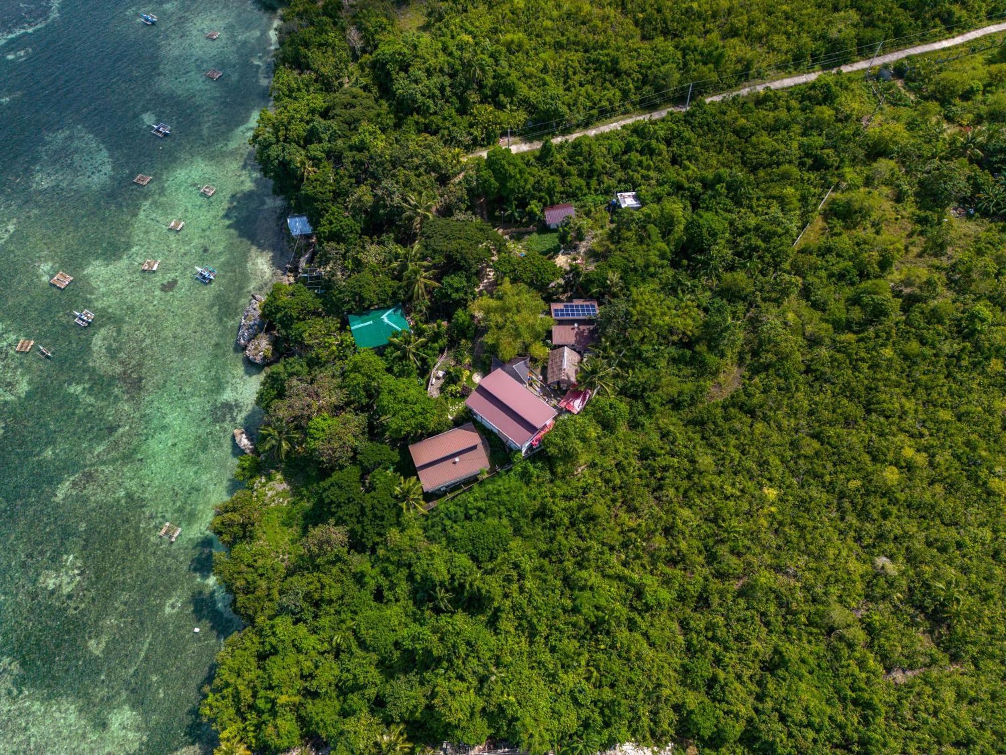 Weyh'S Studio #1 By The Ocean 100Mbps Panglao Eksteriør billede