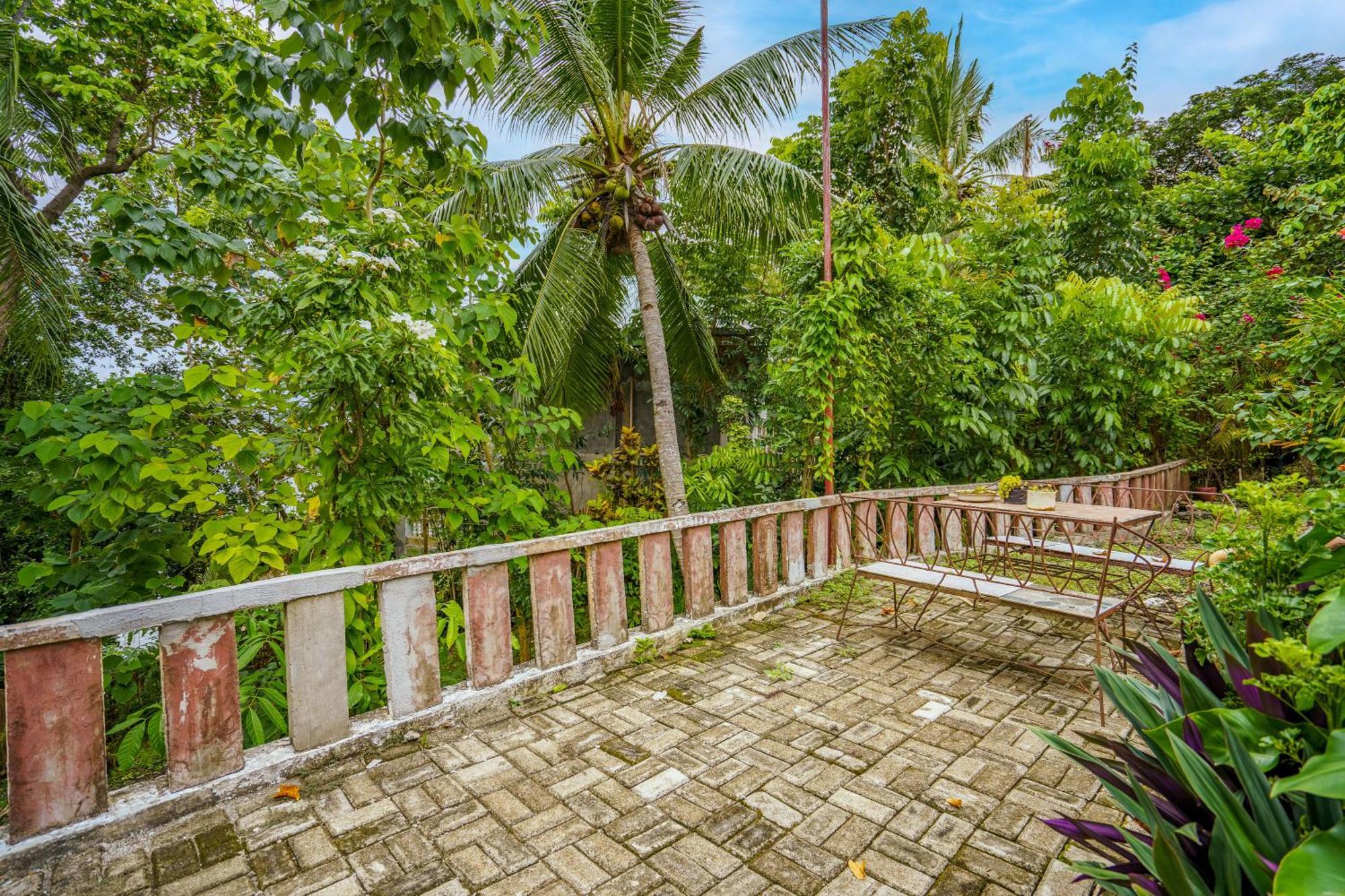 Weyh'S Studio #1 By The Ocean 100Mbps Panglao Eksteriør billede
