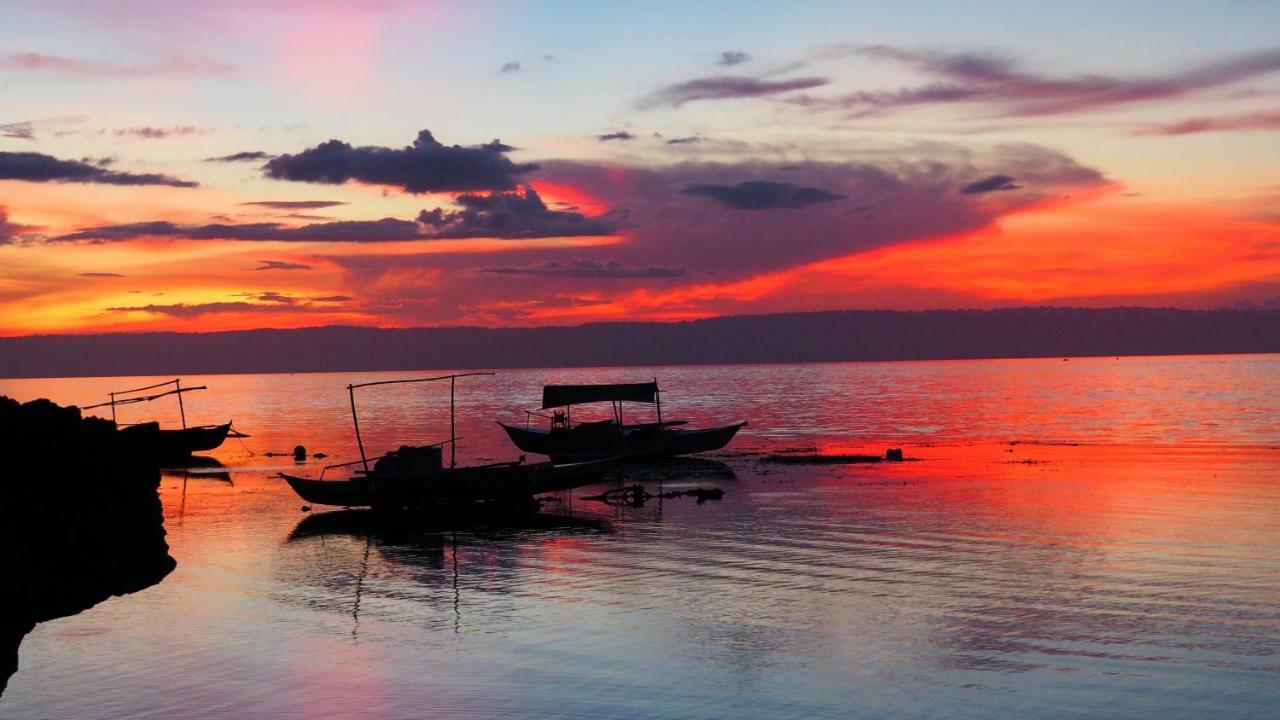 Weyh'S Studio #1 By The Ocean 100Mbps Panglao Eksteriør billede